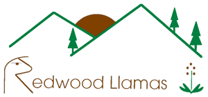 Redwood Llamas